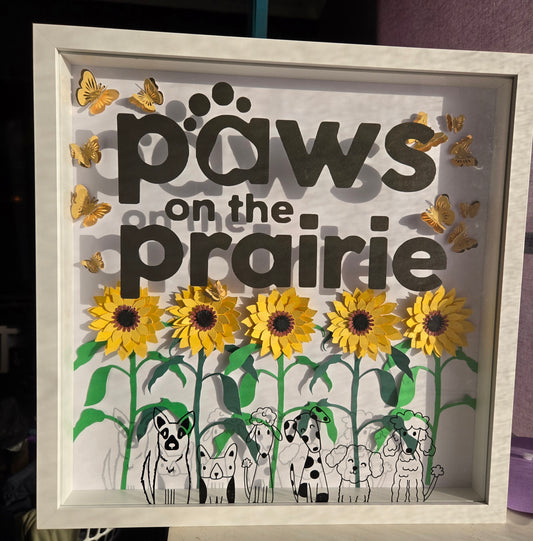 Customisable shadow box